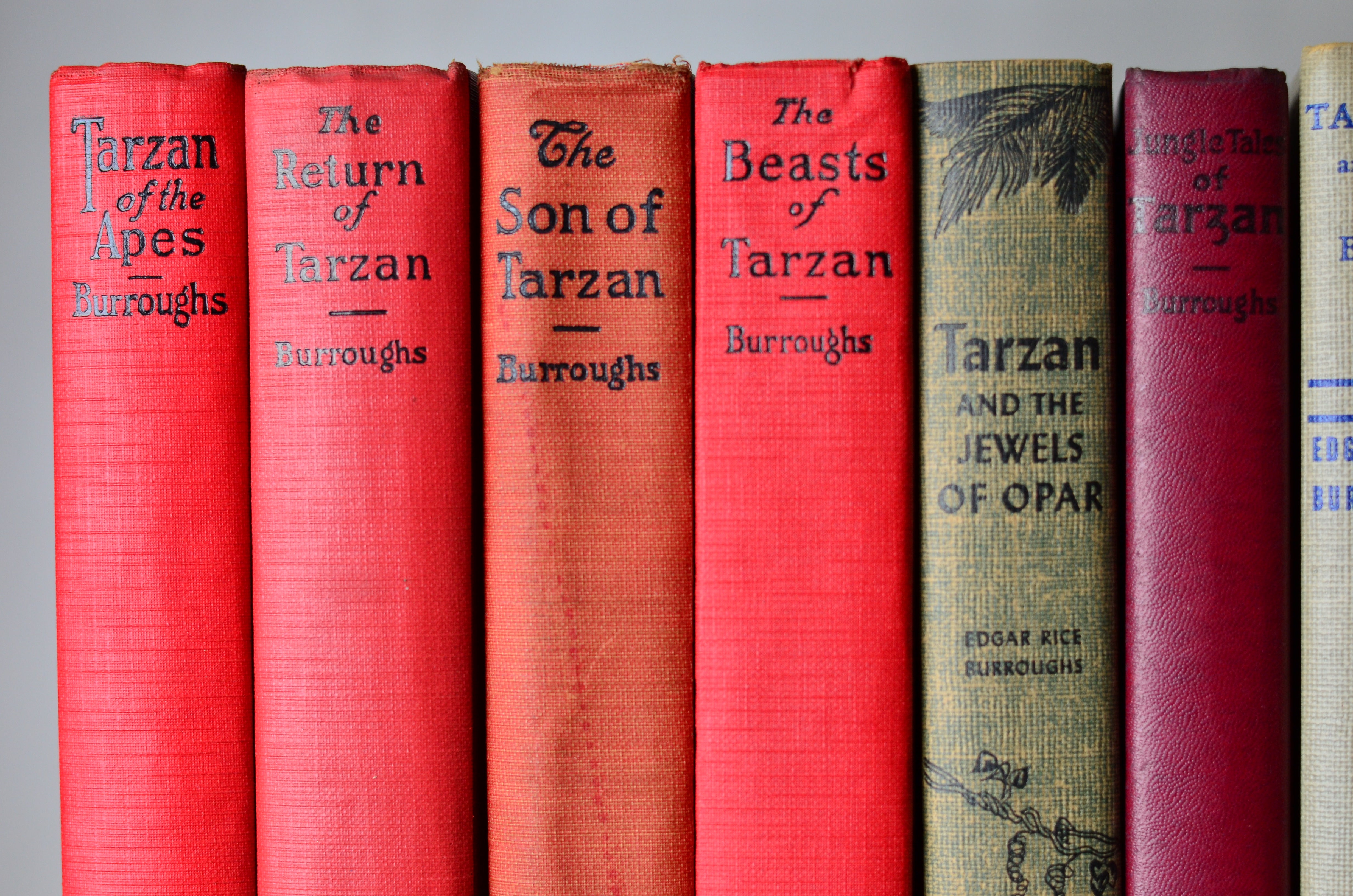 Tarzan of the Apes by Edgar Rice Burroughs - 14 Early Editions