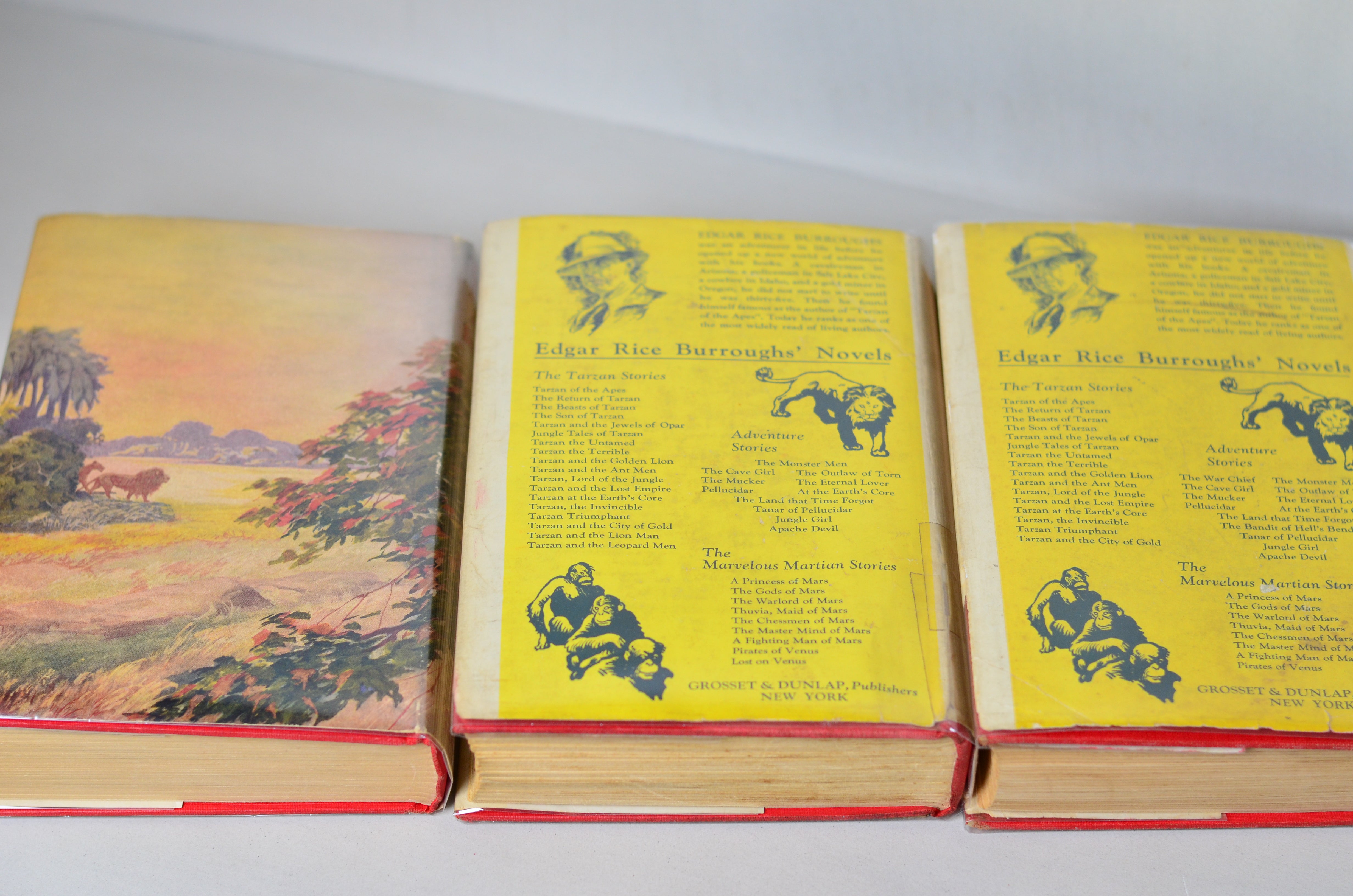 Tarzan of the Apes by Edgar Rice Burroughs - 14 Early Editions