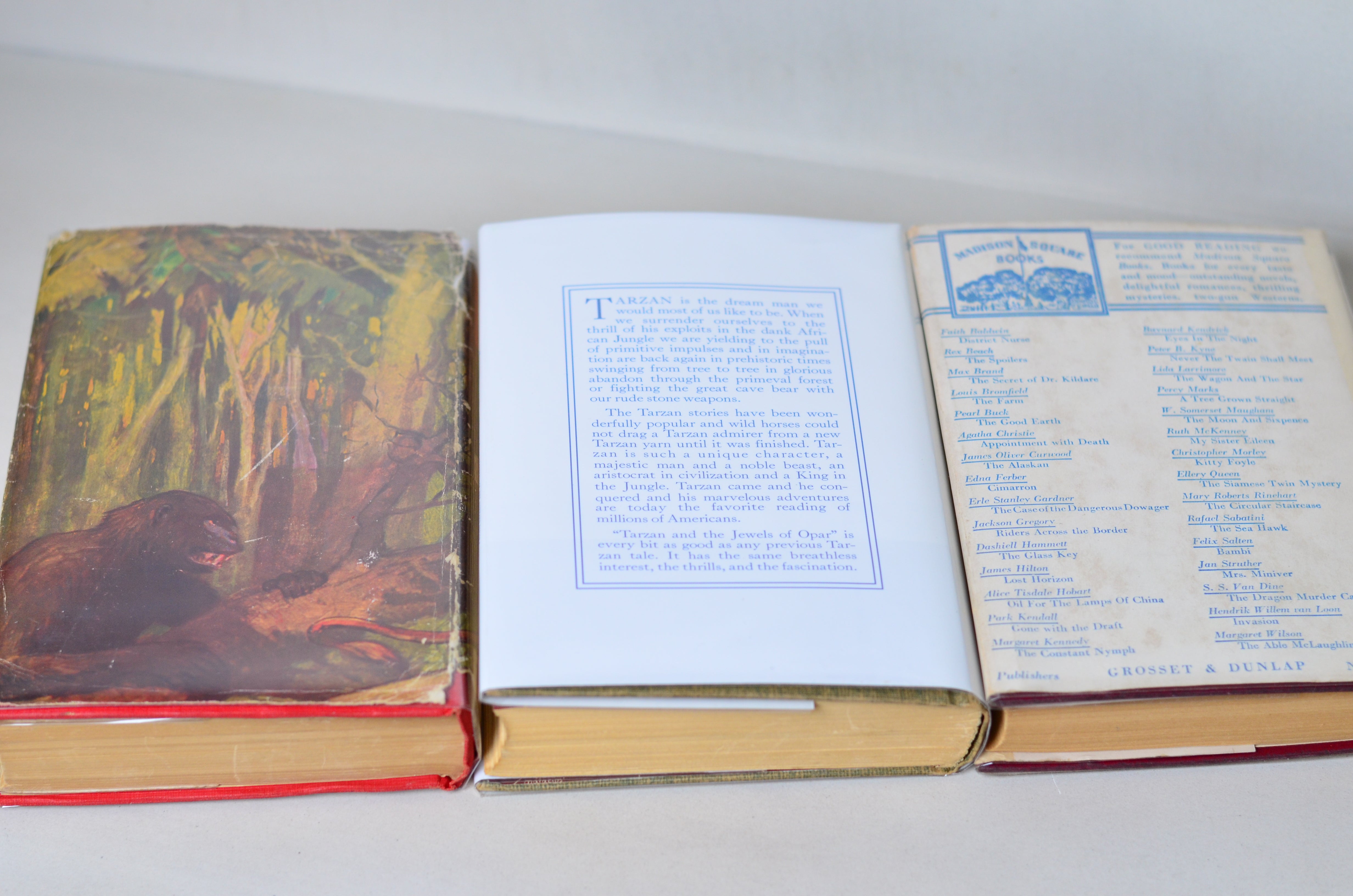 Tarzan of the Apes by Edgar Rice Burroughs - 14 Early Editions