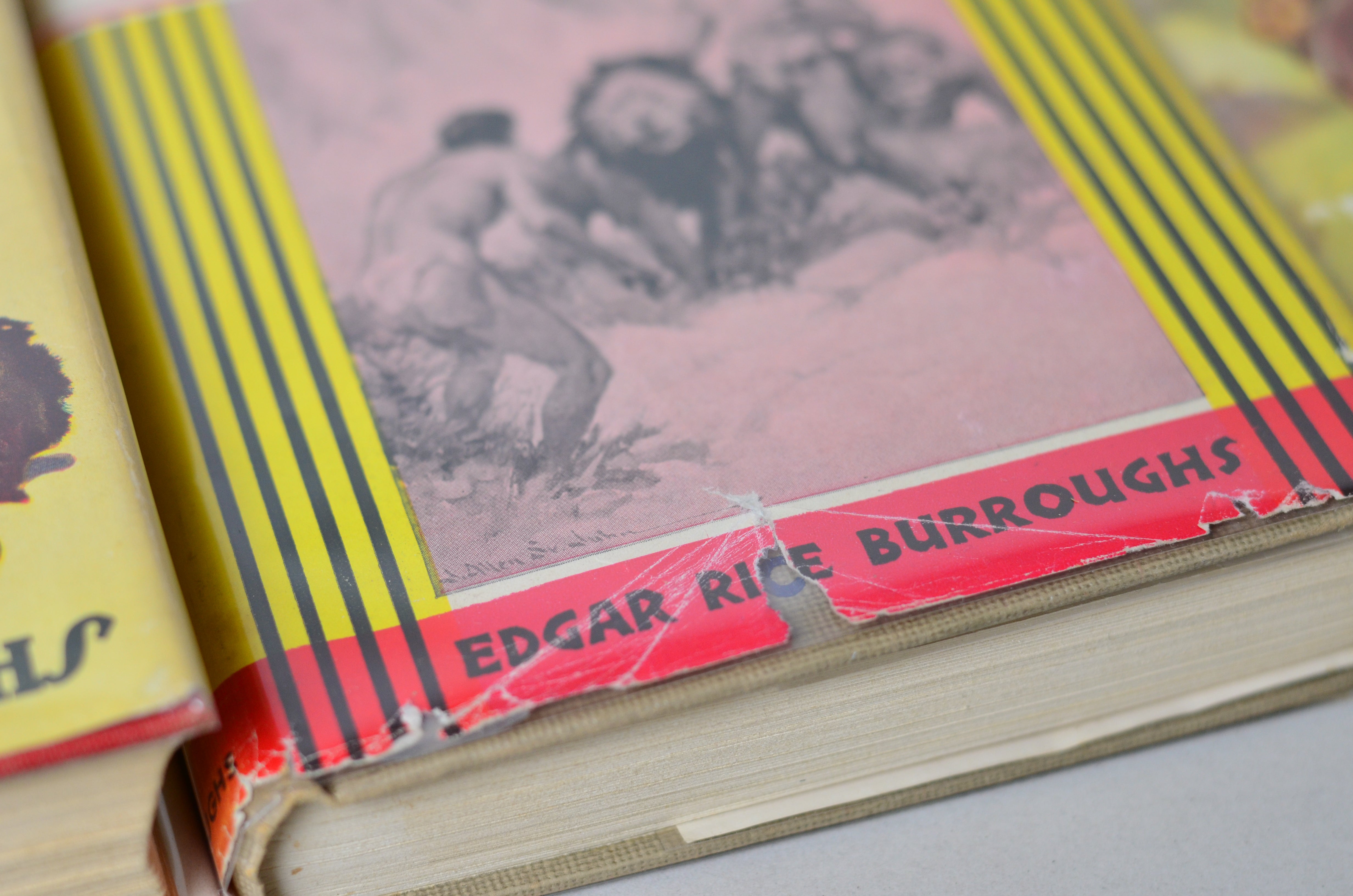 Tarzan of the Apes by Edgar Rice Burroughs - 14 Early Editions