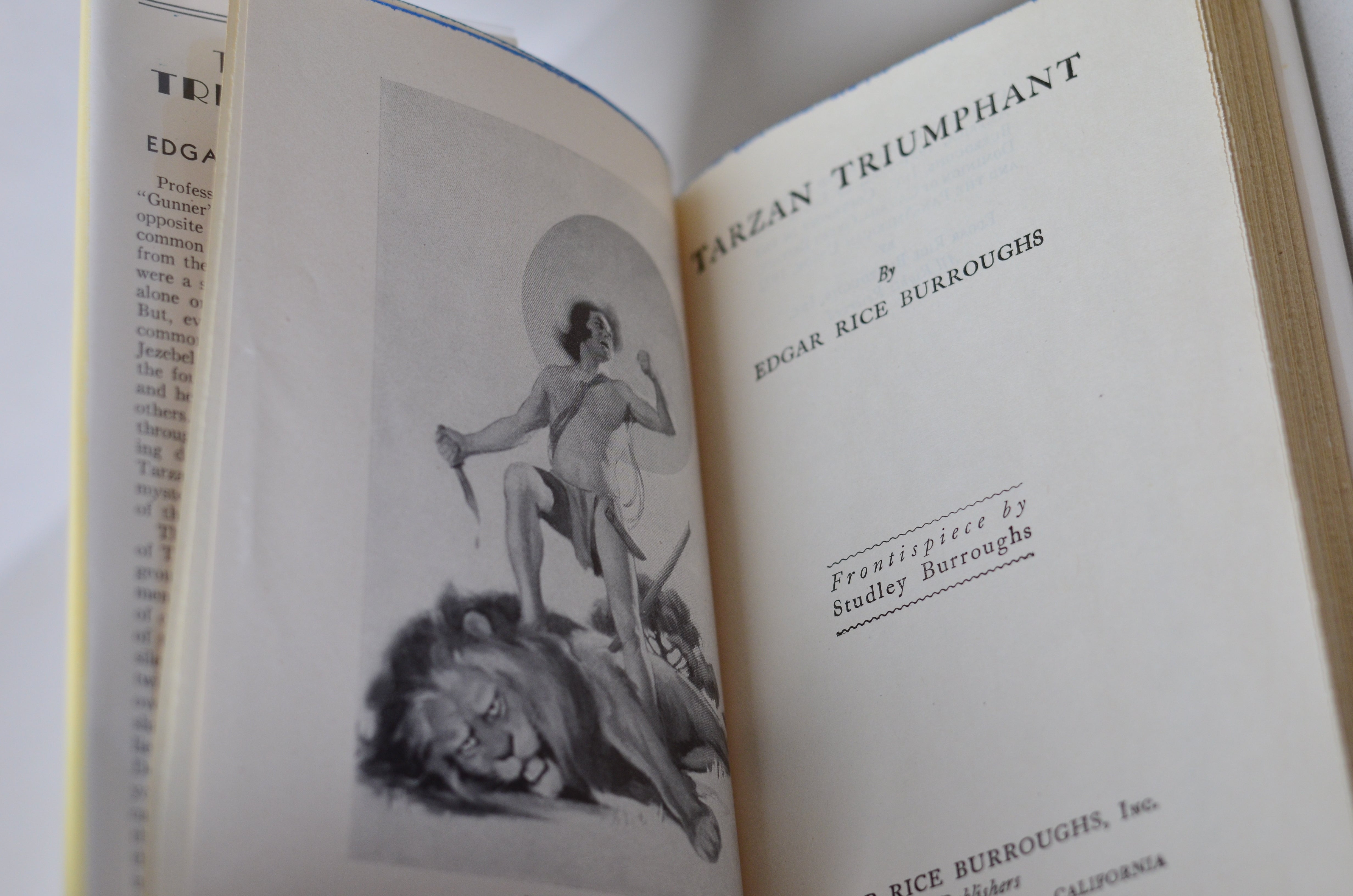 Tarzan of the Apes by Edgar Rice Burroughs - 14 Early Editions