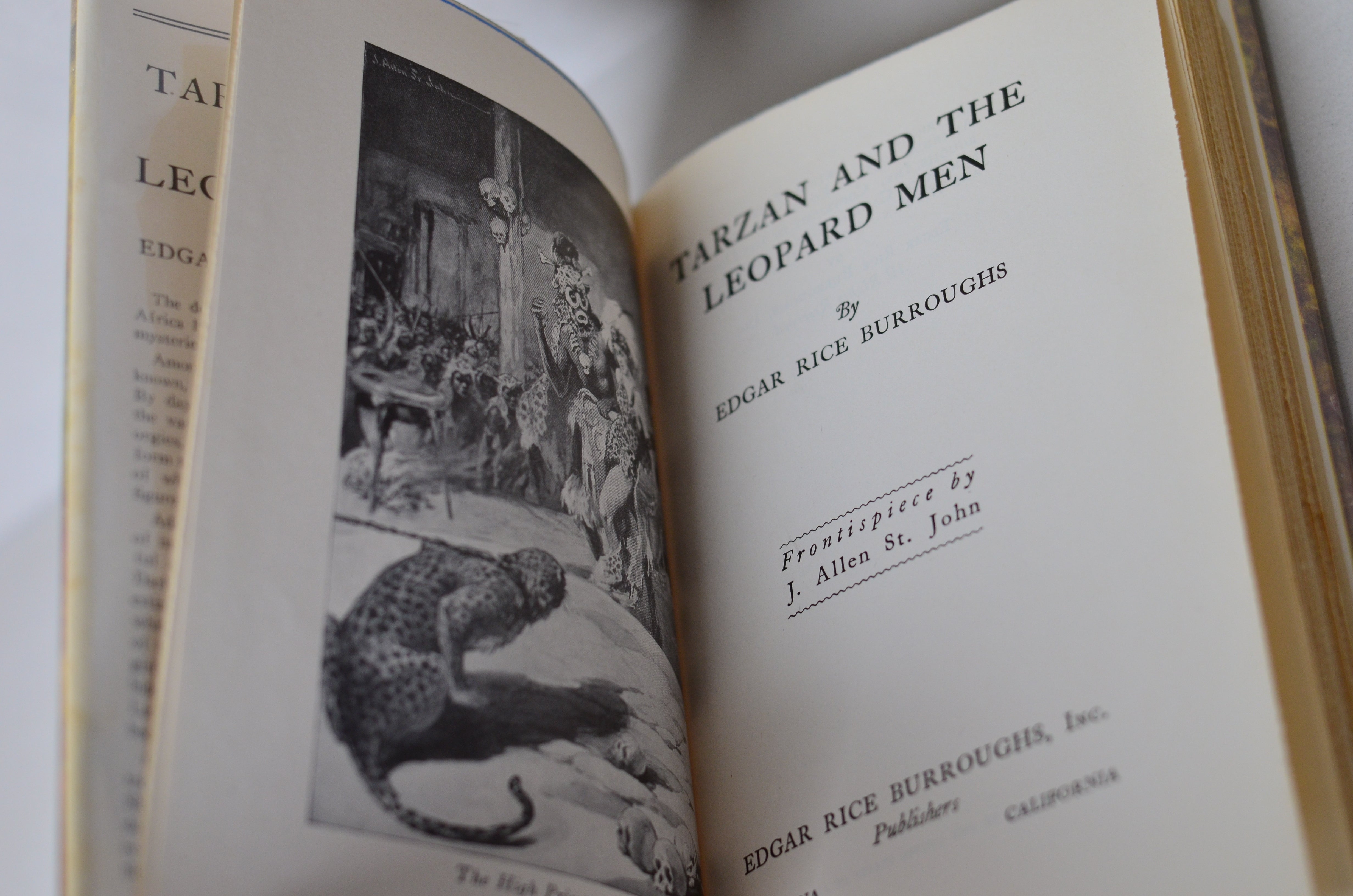 Tarzan of the Apes by Edgar Rice Burroughs - 14 Early Editions