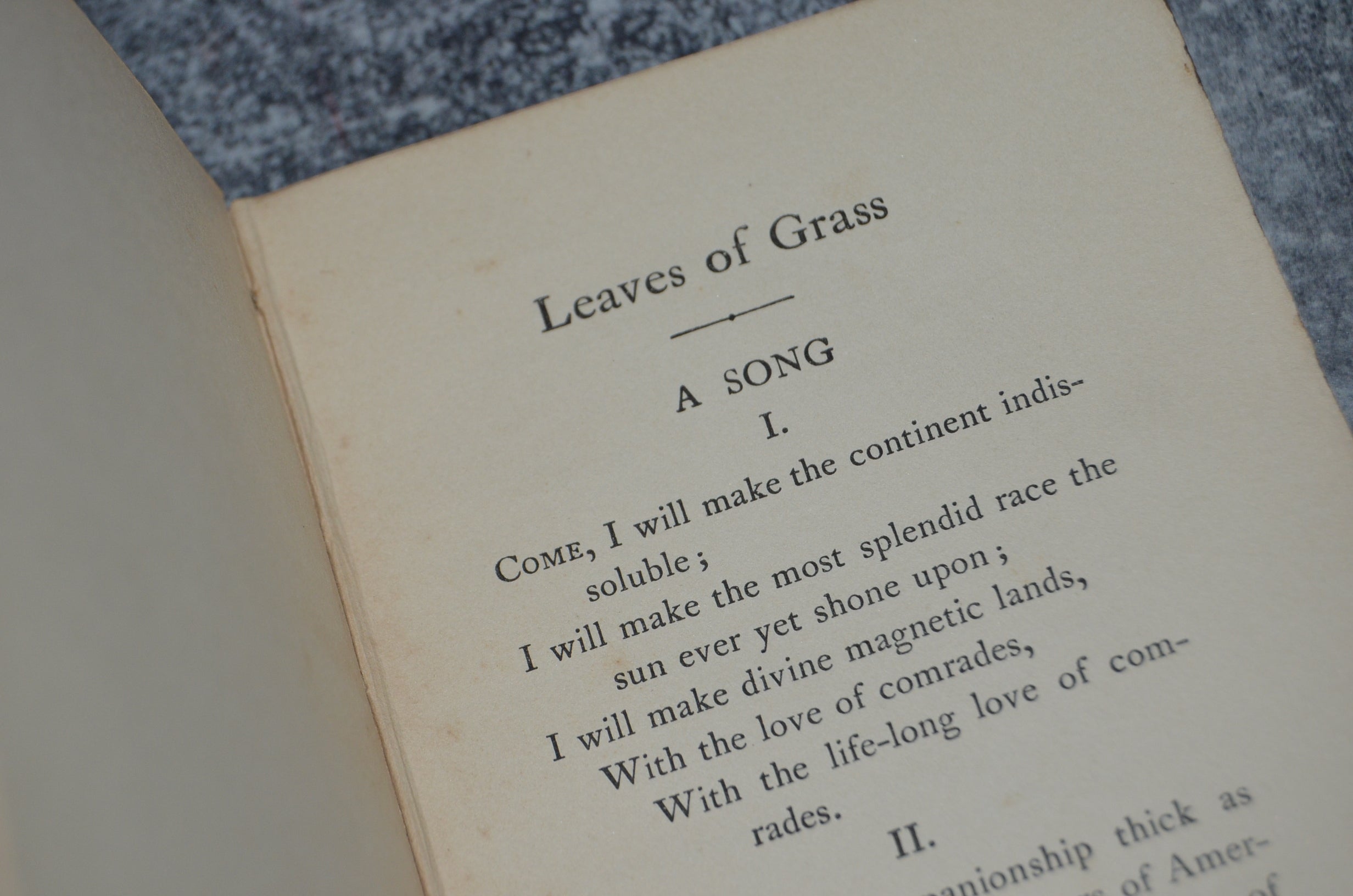 Antique Selections From Leaves of Grass by Walt Whitman 1900