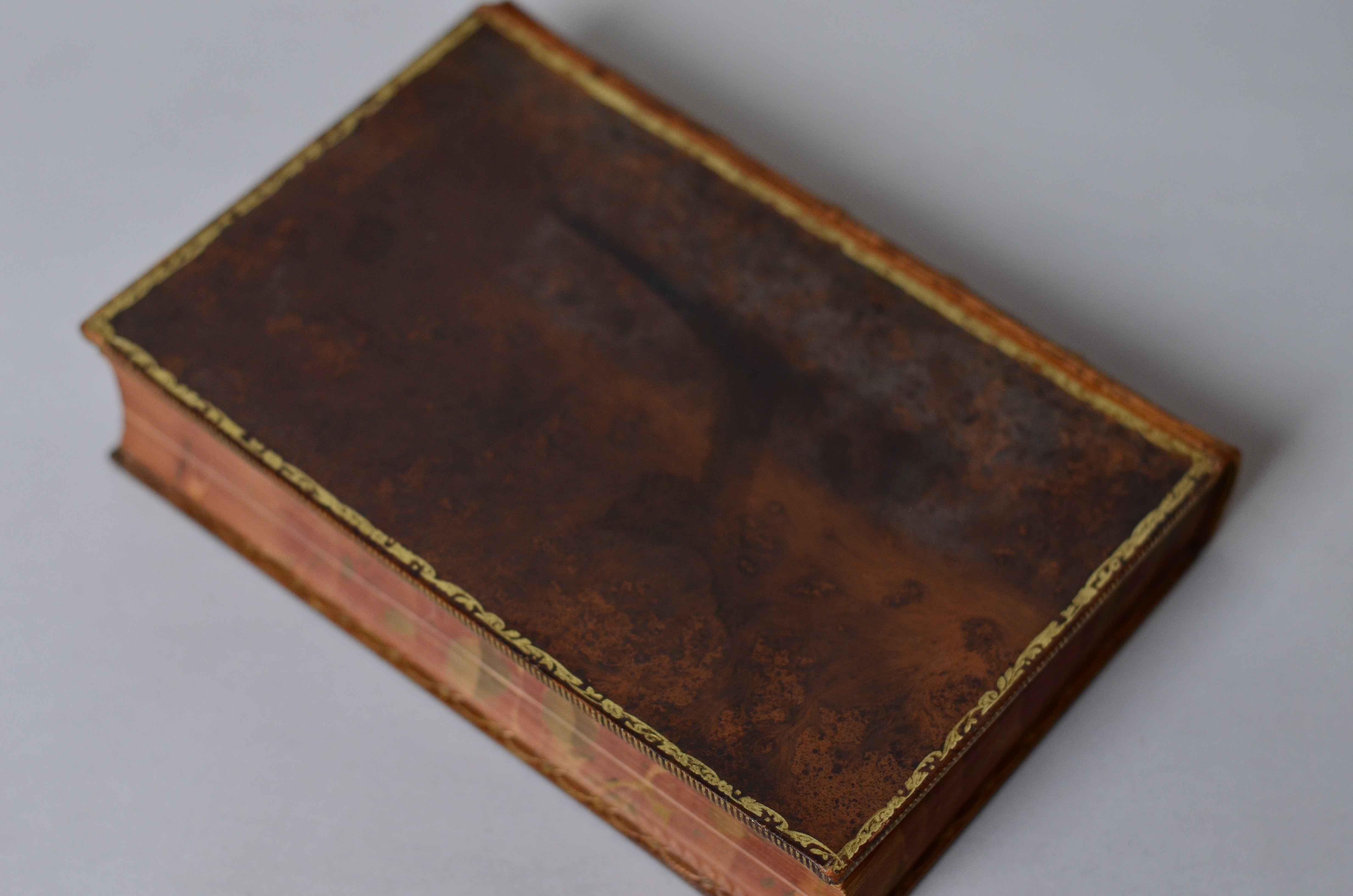 Antique Full Leather Tree Calf Binding The Works of Edmund Spenser 1909