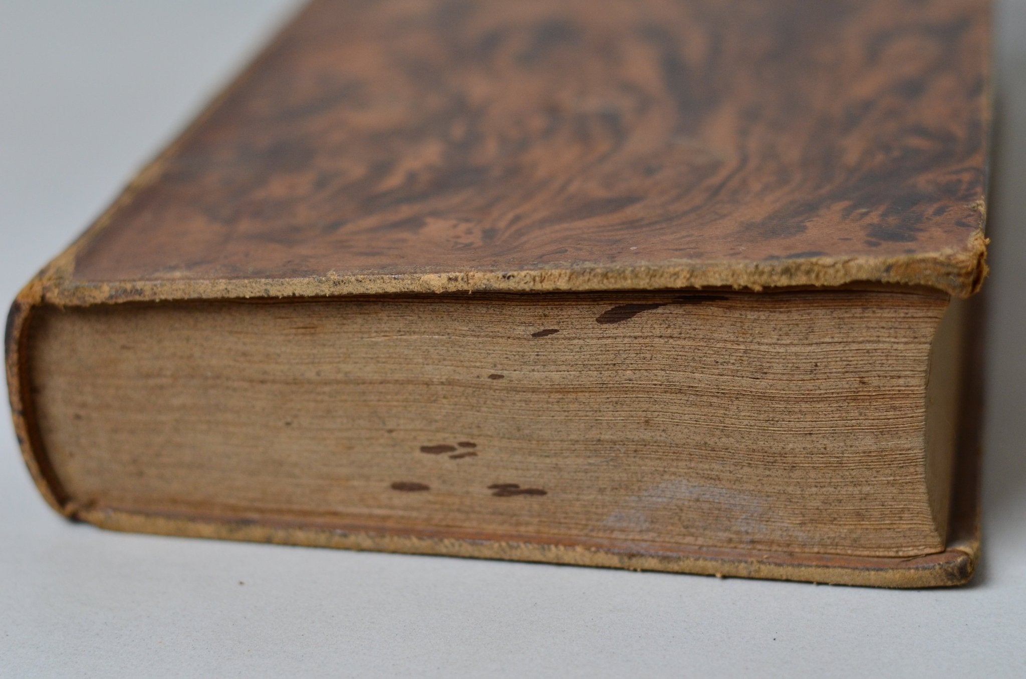 Antique Leather Bound An Apology For The True Christian Divinity by Robert Barclay 1831 - Quaker - Brookfield Books