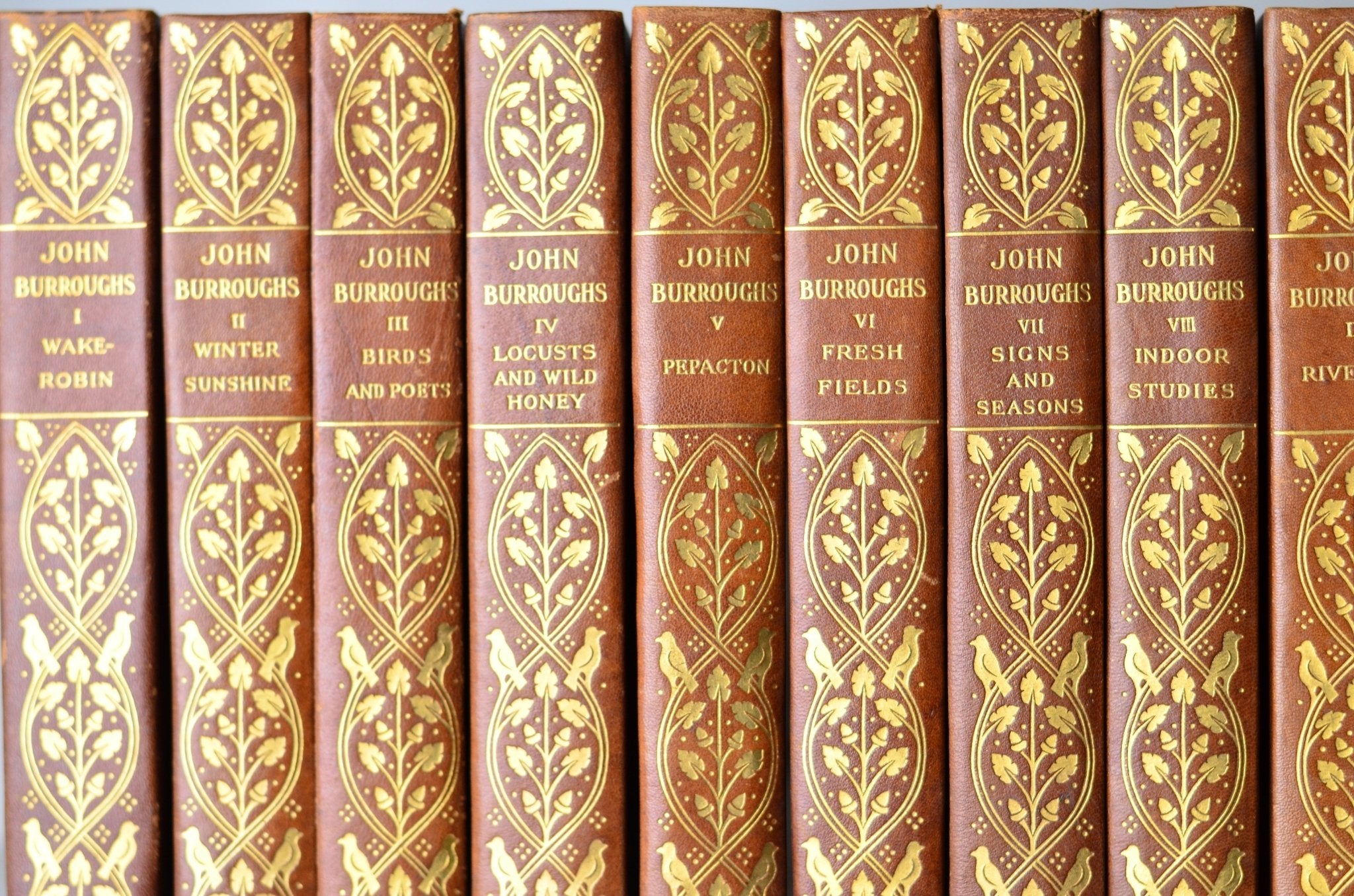 Antique Leather Bound Complete Writings of John Burroughs 1904 - Nature - Brookfield Books