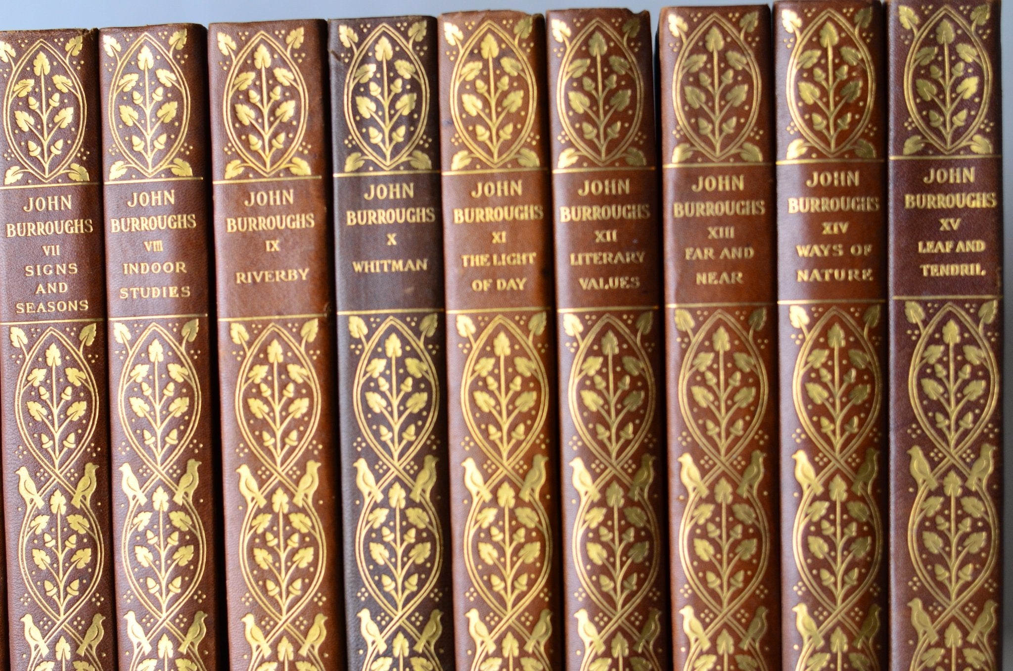 Antique Leather Bound Complete Writings of John Burroughs 1904 - Nature - Brookfield Books