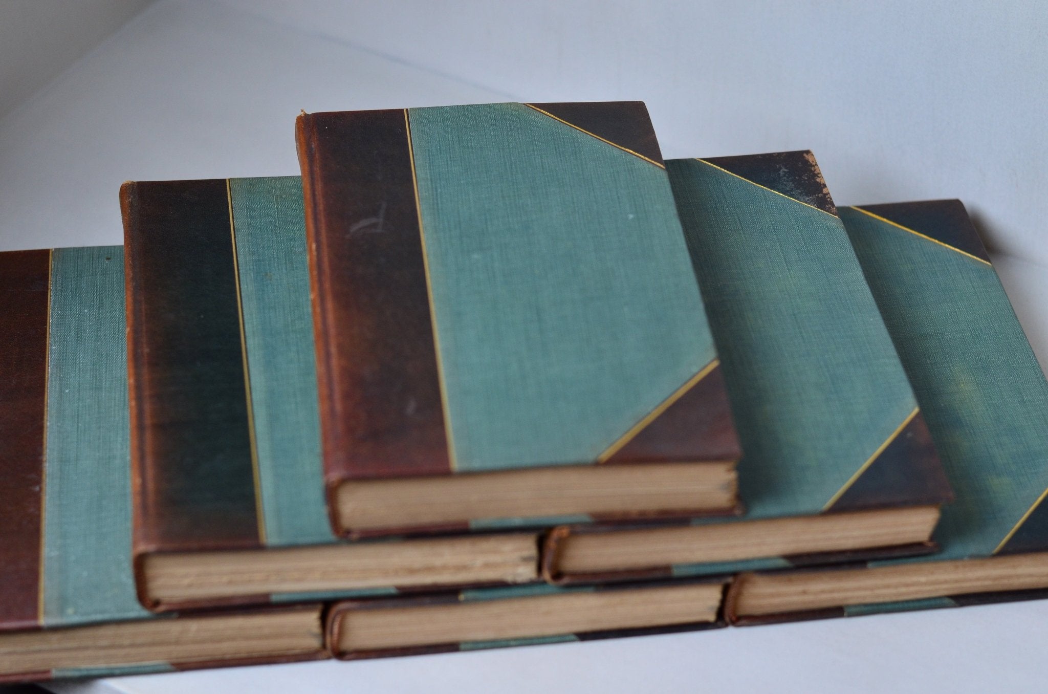 Antique Leather Bound Complete Writings of John Burroughs 1904 - Nature - Brookfield Books