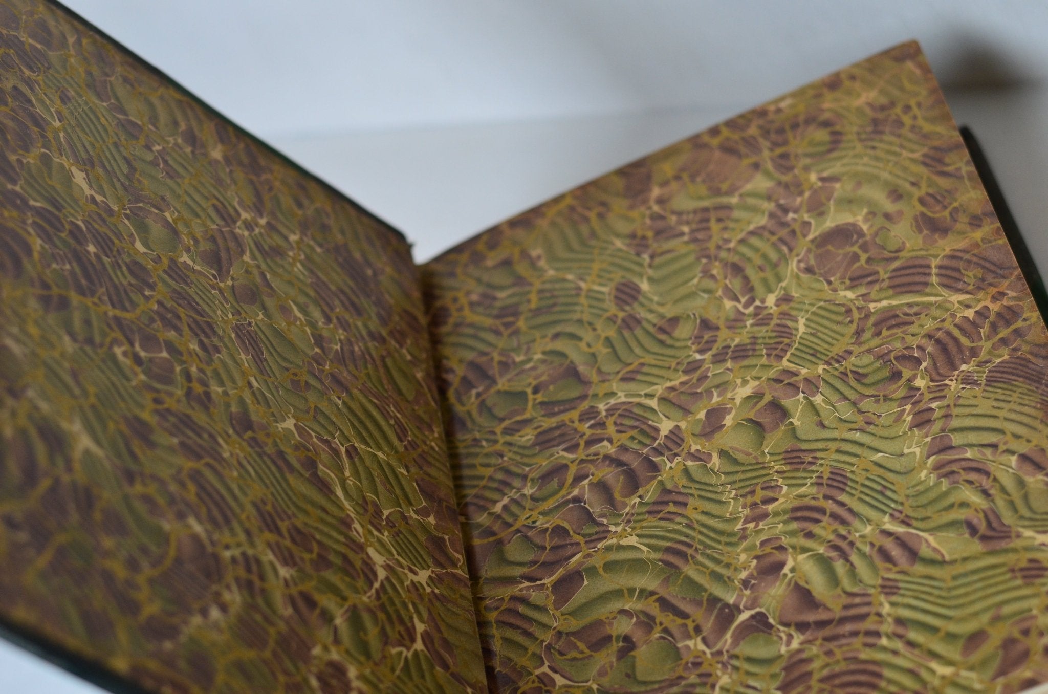 Antique Leather Bound Cyclopedia of American Horticulture by L. H. Bailey 1900 - Brookfield Books