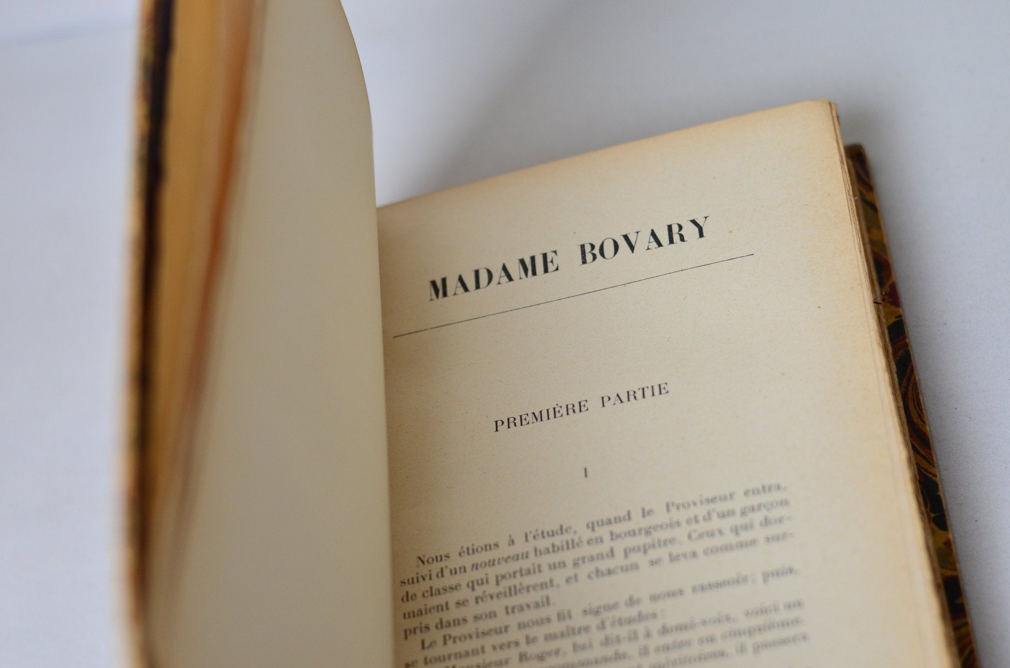 Antique Leather Bound Madame Bovary by Gustave Falubert 1911 - French - Brookfield Books