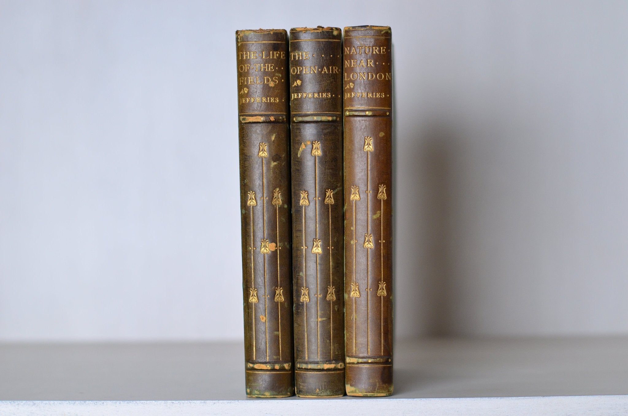 Antique Leather Bound Nature Books by Richard Jefferies with Decorative Floral Design - Brookfield Books