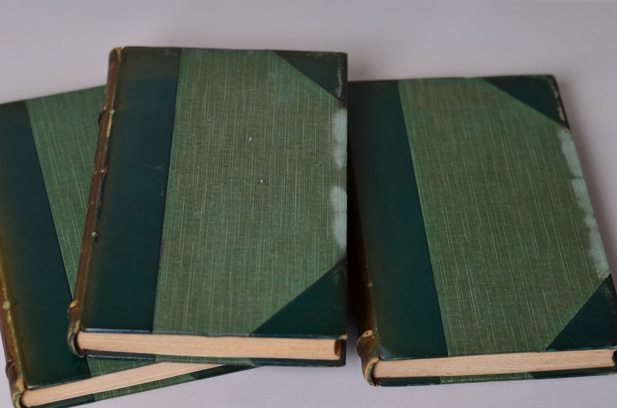 Antique Leather Bound Nature Books by Richard Jefferies with Decorative Floral Design - Brookfield Books