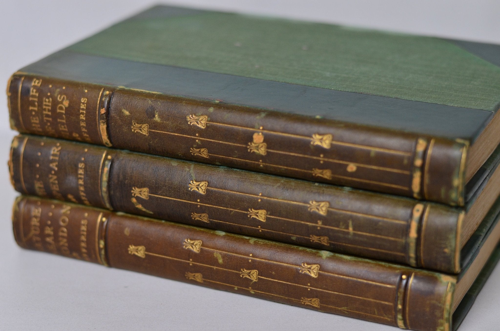 Antique Leather Bound Nature Books by Richard Jefferies with Decorative Floral Design - Brookfield Books