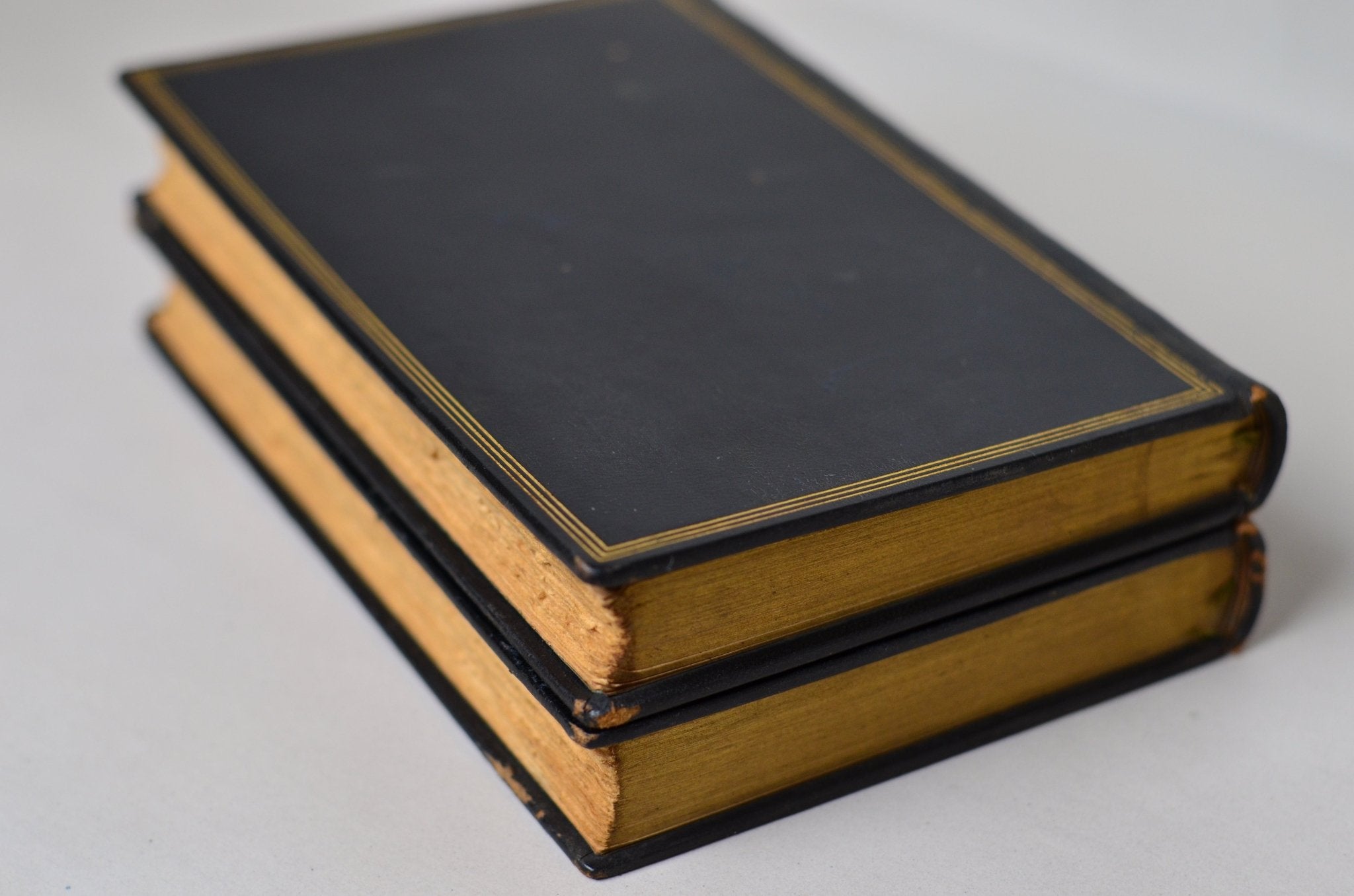 Antique Leather Bound The Red and the Black by Stendhal - c. 1925, French - Brookfield Books